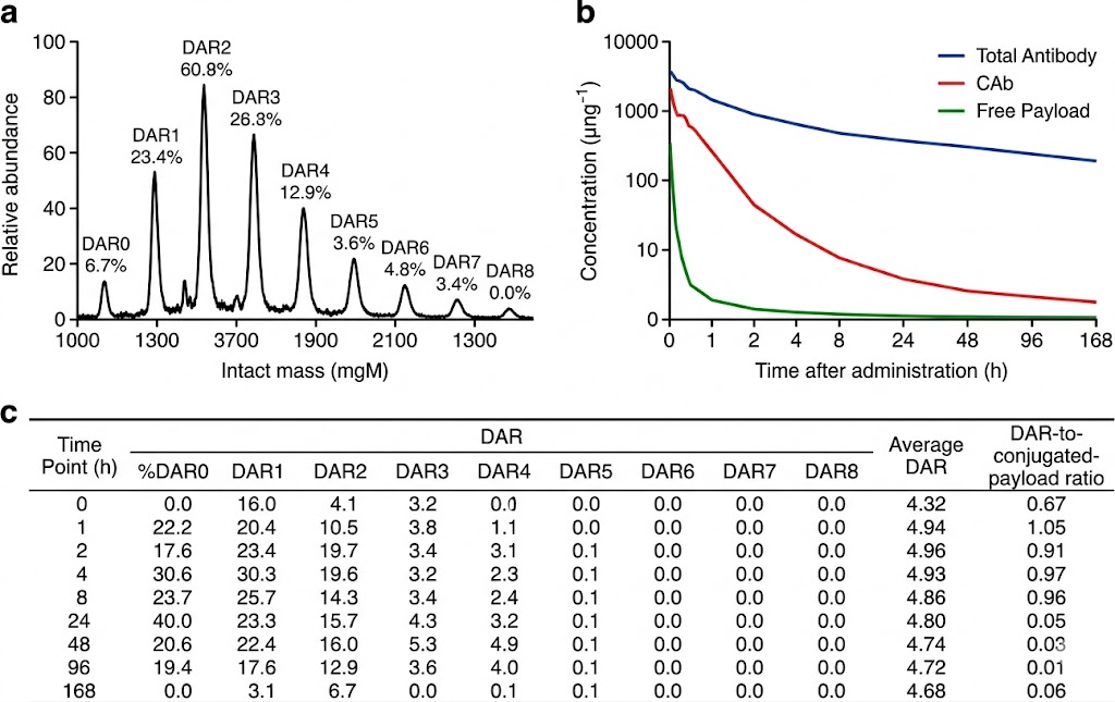 ADC multi-attribute quantification data showing intact mass spectrum with DAR distribution, time-course PK profiles for total antibody and free payload, and DAR calculation table