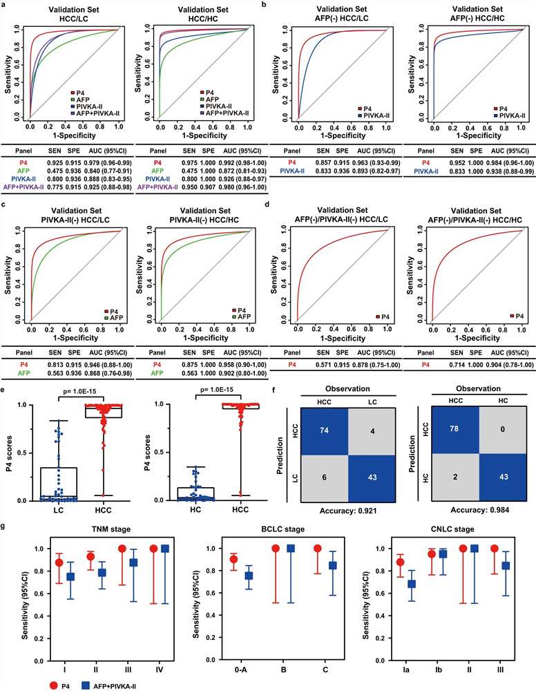 ROC curves for P4 panel (HABP2, CD163, AFP, PIVKA-II) demonstrating AUC 0.979 for HCC vs liver cirrhosis and 0.992 for HCC vs healthy controls