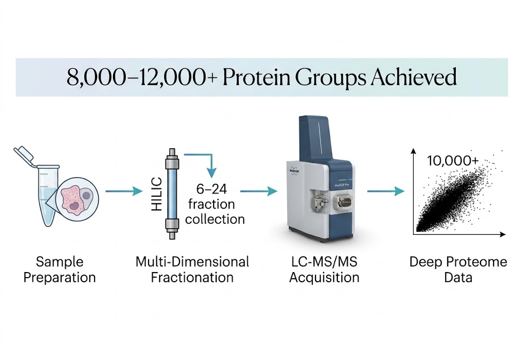 Deep proteome profiling workflow showing multi-dimensional fractionation and LC-MS/MS analysis pipeline