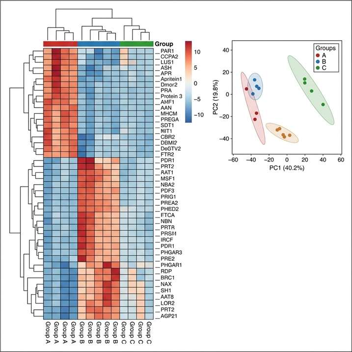 TMT proteomics heatmap and PCA clustering — quantitative reproducibility across biological replicates
