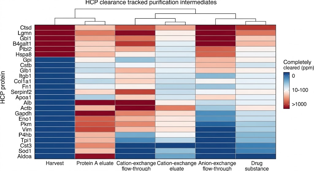 HCP clearance heatmap across purification steps showing progressive removal with persistence color coding