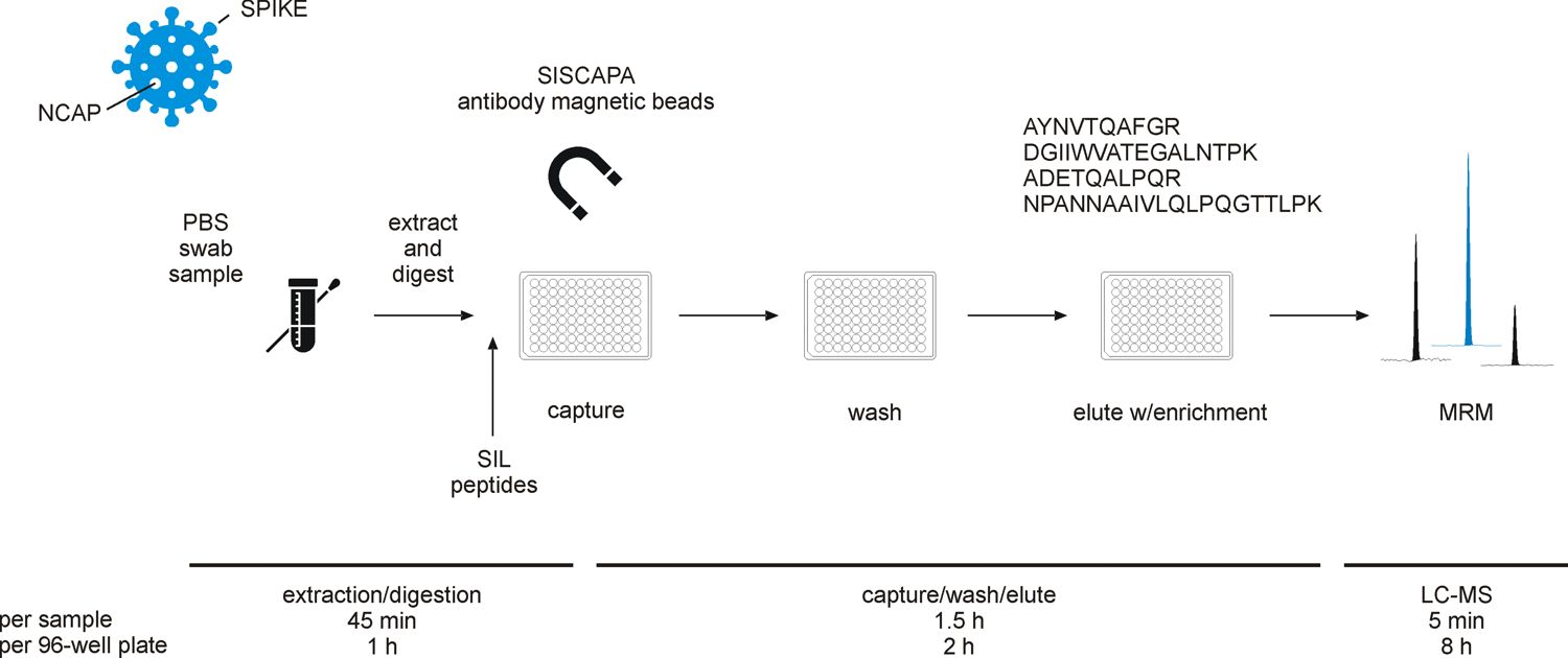 Case study: SISCAPA immunoaffinity enrichment LC-MS workflow for SARS-CoV-2 nucleocapsid protein detection from clinical swab samples