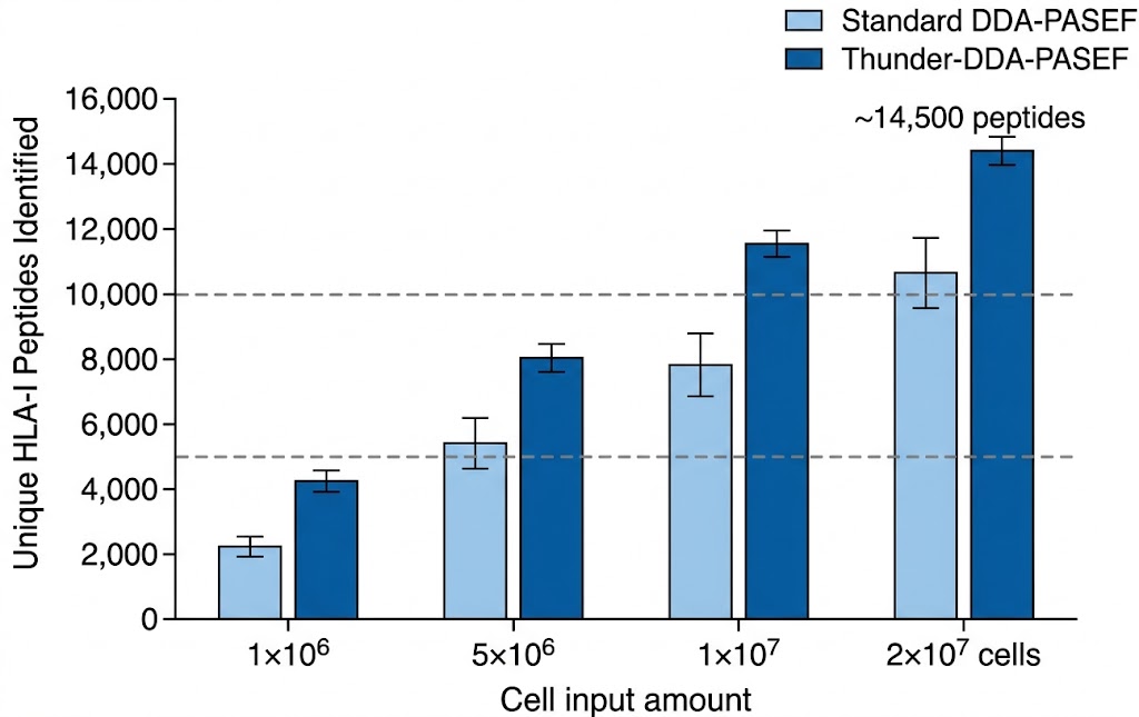 HLA class I peptide identification counts across sample input amounts using Thunder-DDA-PASEF