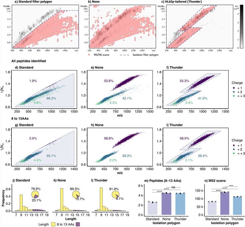 Comparison of HLA-I peptide identifications between Thunder-DDA-PASEF and standard DDA-PASEF