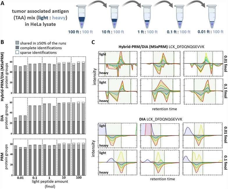 Case study data: multiplexed MSxPRM quantification results for 28 biomarker candidates across 8 melanoma clinical samples showing improved sensitivity over DIA alone at low concentrations
