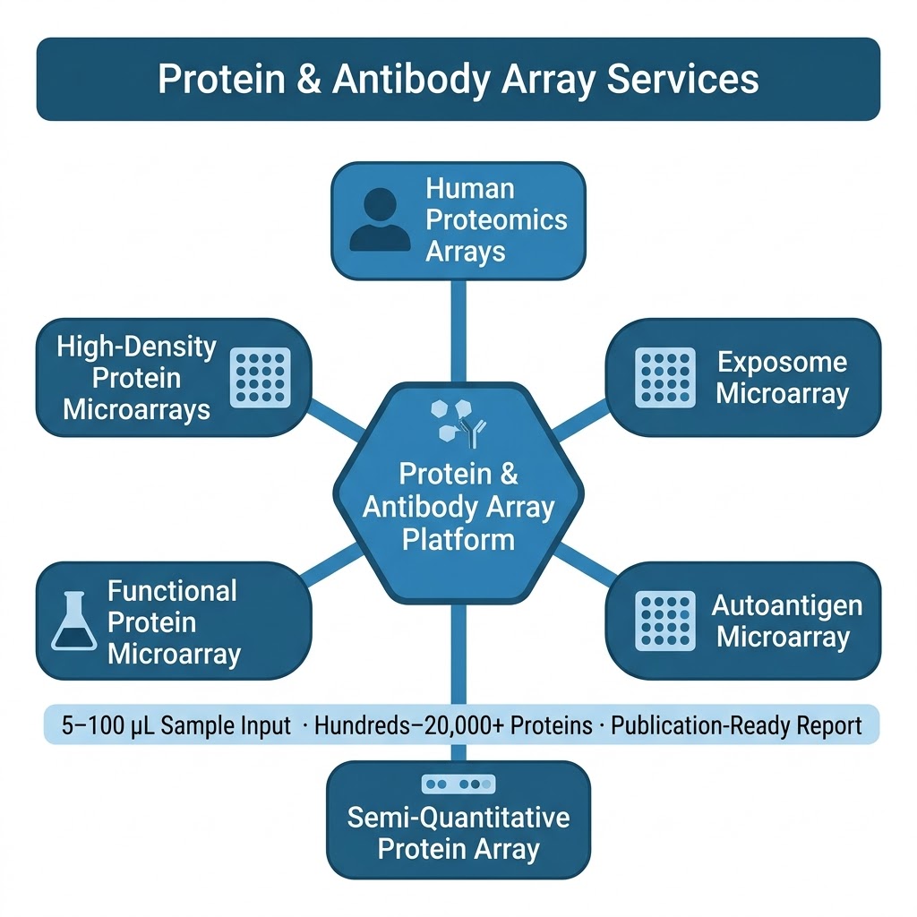 Protein and antibody array services overview — human proteome microarray autoantigen exposome functional array formats