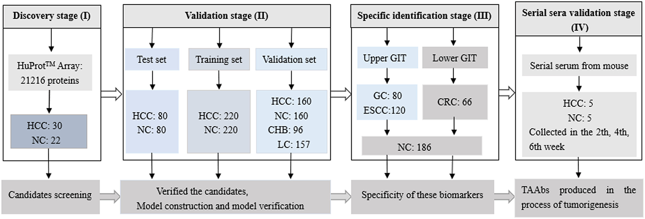 Human Proteome Microarray workflow for HCC autoantibody discovery — Figure 1 Yang et al 2023 Molecular Oncology