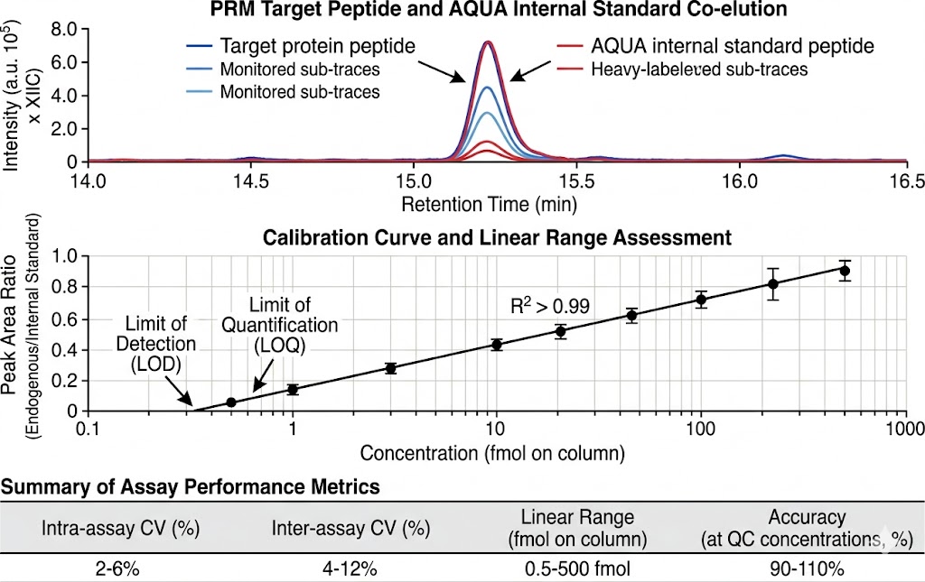 PRM target protein quantification data showing extracted ion chromatograms, calibration curve, and assay performance metrics