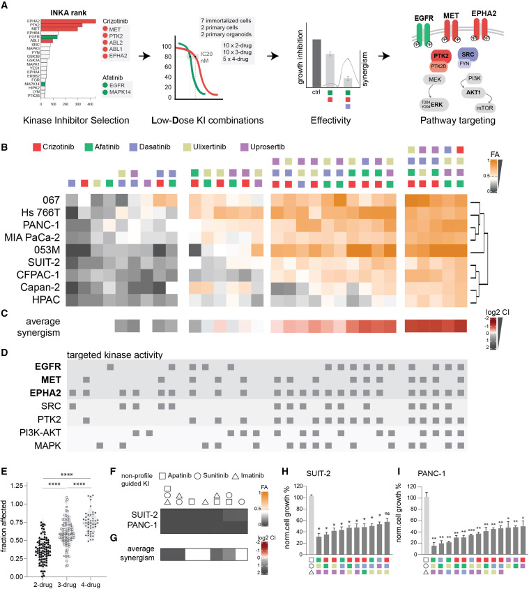 Low-dose INKA-guided drug combination efficacy vs high-dose single agent in PDAC organoids and PDX — Figure 3