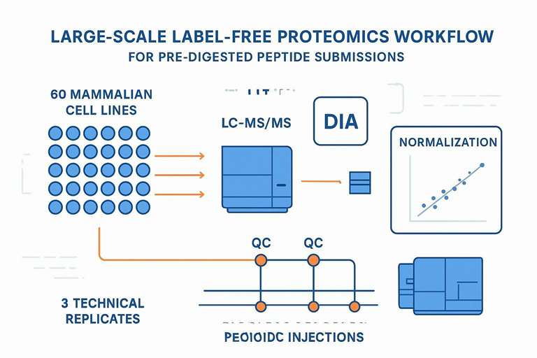 Cover: high-throughput pre-digested peptide LFQ proteomics workflow (60 cell lines × 3 reps = 180 runs) with QC insertions and normalization visuals.