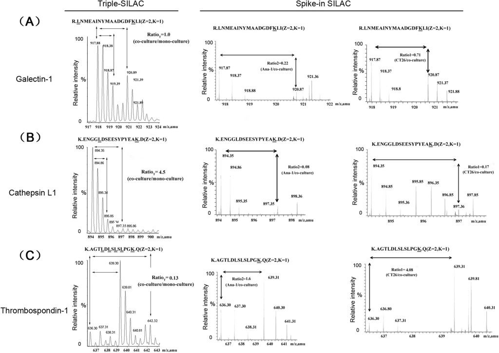 Summary of the experimental work-flow for PRA and PRB interacting.