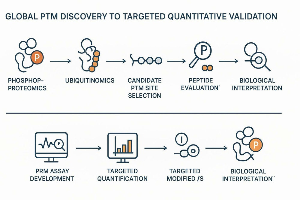 Targeted PTM quantification workflow