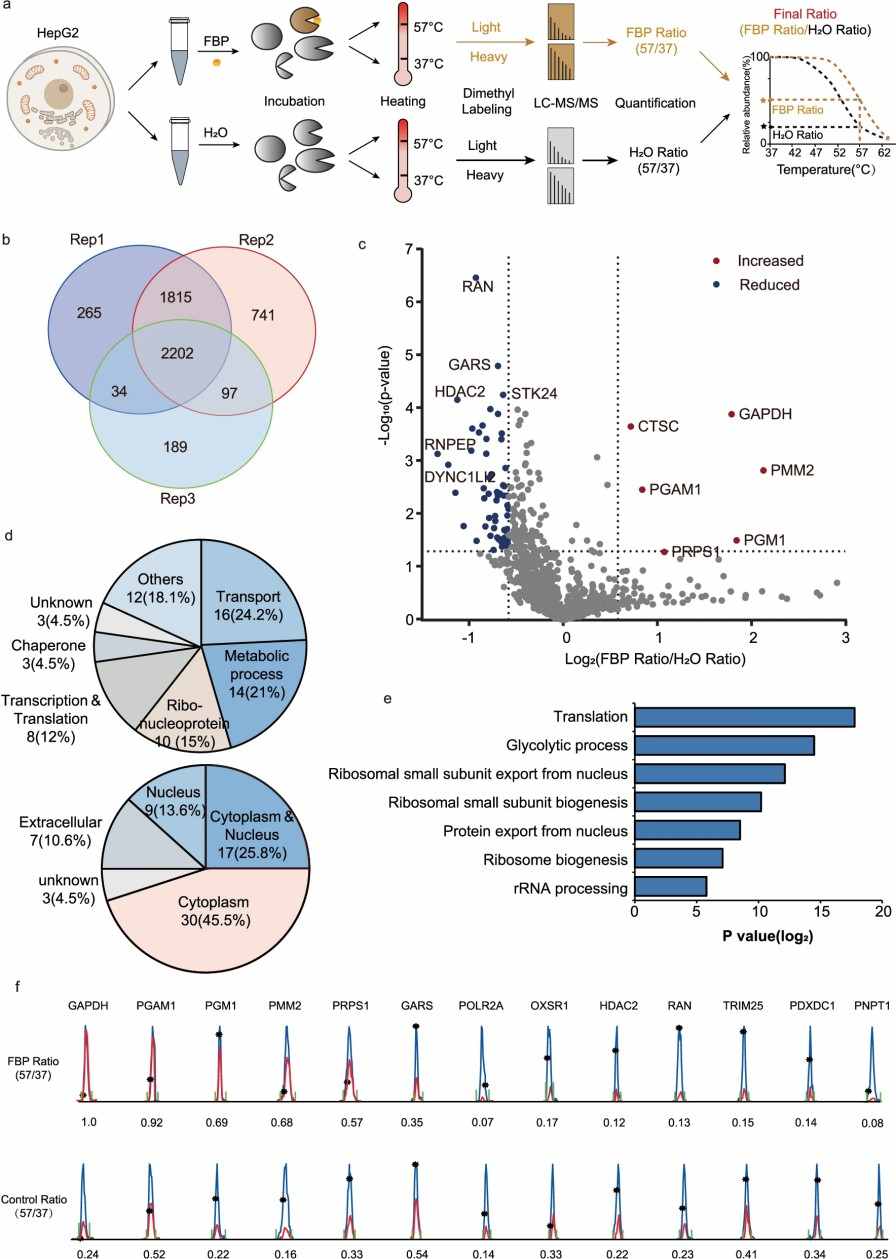 TPP of FBP-interacting proteins.