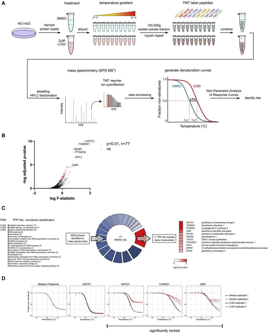 TPP identifies candidate LCS3-interacting proteins.