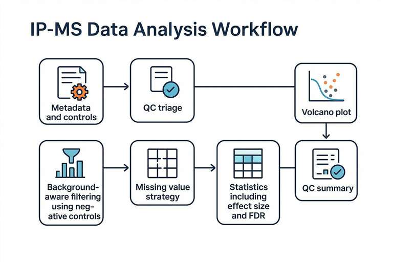 IP-MS data analysis workflow showing filtering, normalization, missing values, and FDR-based statistics for confident hits.