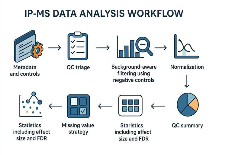 IP-MS data analysis workflow showing filtering, normalization, missing values, and FDR-based statistics for confident hits.