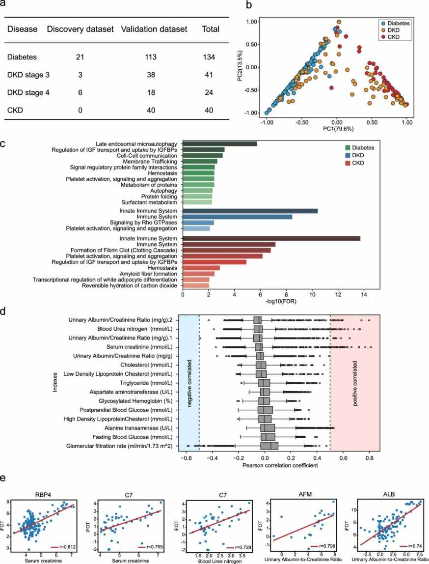 Urine proteomic of CKD, DKD, and Diabetes. 