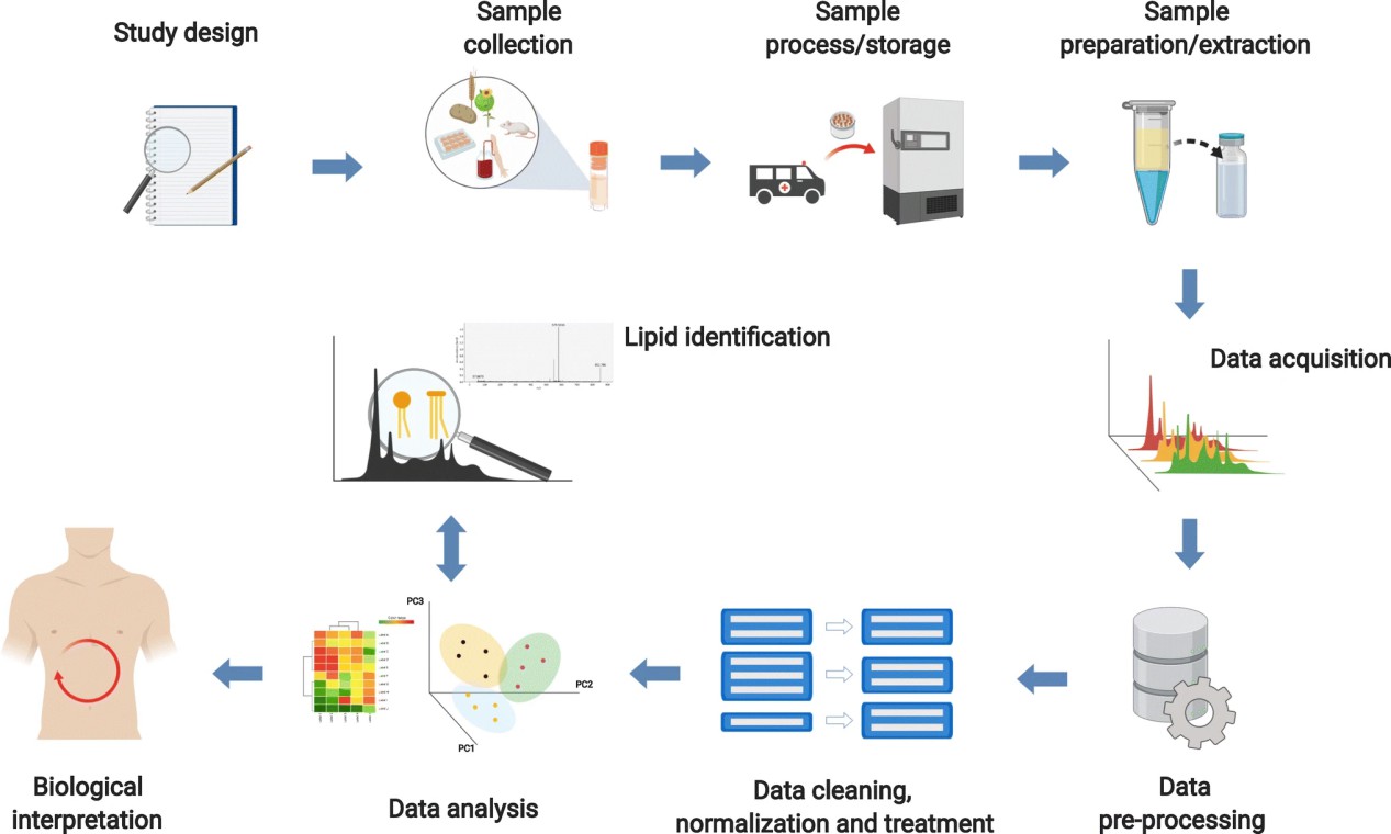 How to Analysis Protein Lipidation