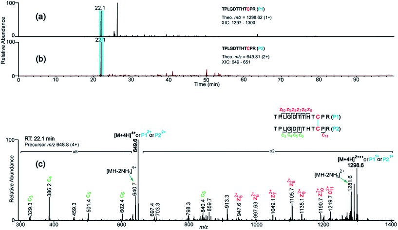 XIC's and ETD spectrum results