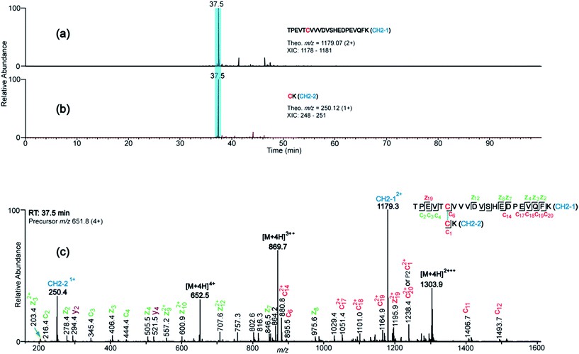 Representative XIC's and ETD spectrum results.
