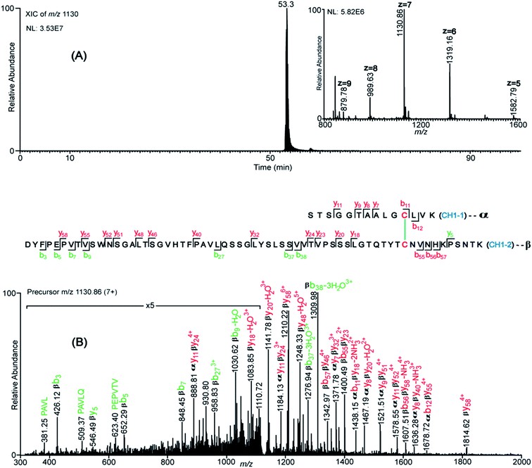 XIC and CID spectrum results