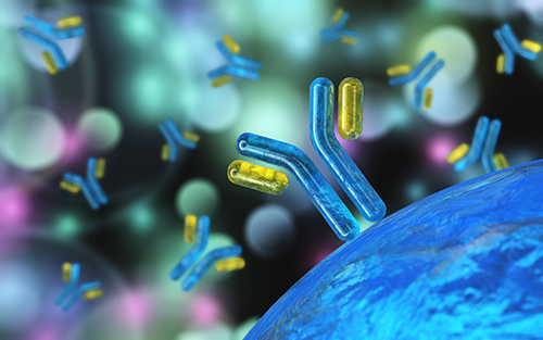 Oxidative DNA/RNA Damage Assay