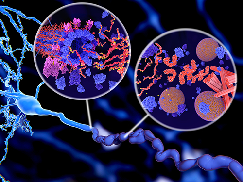 DNA/RNA Adductomics and Damage Analysis