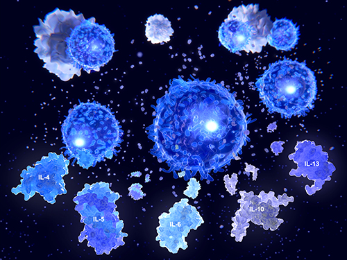 Oxidative DNA/RNA Damage Assay
