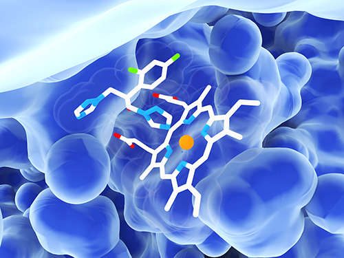Pan PTM Proteomics