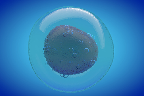 Ultimate Guide to Lactylation Proteomics: Samples & Workflow