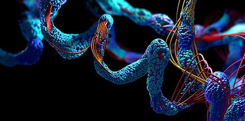 DNA/RNA Adductomics and Damage Analysis