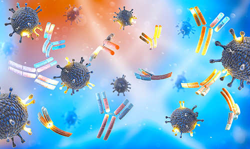 Oxidative DNA/RNA Damage Assay
