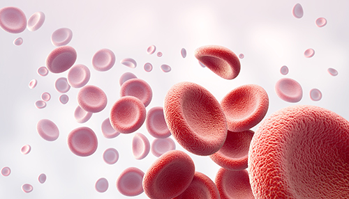 DNA/RNA Adductomics and Damage Analysis
