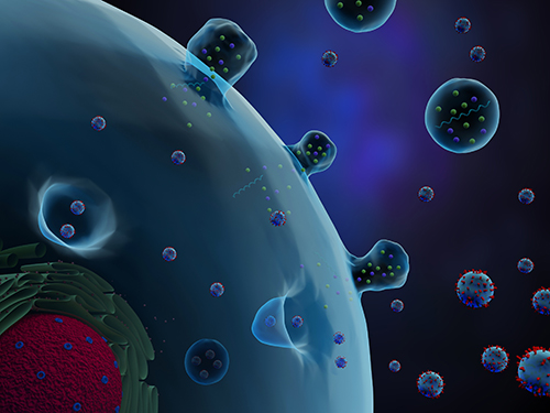 DNA/RNA Modification Immunoassay Services