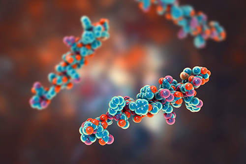 Oxidative DNA/RNA Damage Assay