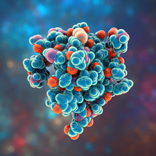DNA/RNA Modifications