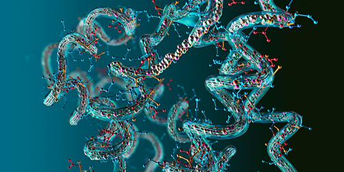 Oxidative DNA/RNA Damage Assay
