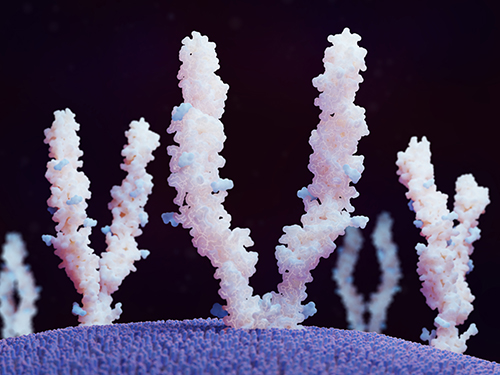 Site-Specific Tau Phosphorylation Analysis Best Practices