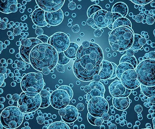 Site-Specific Tau Phosphorylation Analysis Best Practices