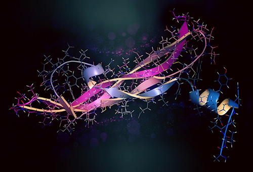Oxidative DNA/RNA Damage Assay