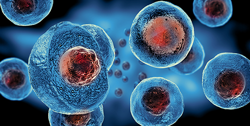 DNA/RNA Modifications