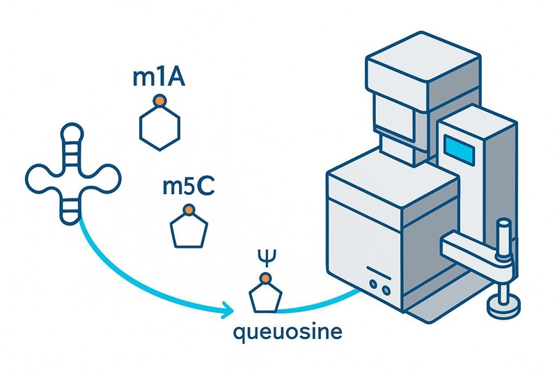 Cover image: LC–MS silhouette with tRNA cloverleaf transforming into modified nucleosides along a gradient path.