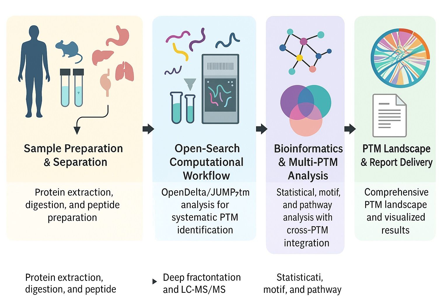 Pan PTM proteomics service workflow infographic showing sample preparation, LC-MS/MS, open-search analysis, bioinformatics, and PTM landscape reporting in Nature journal style