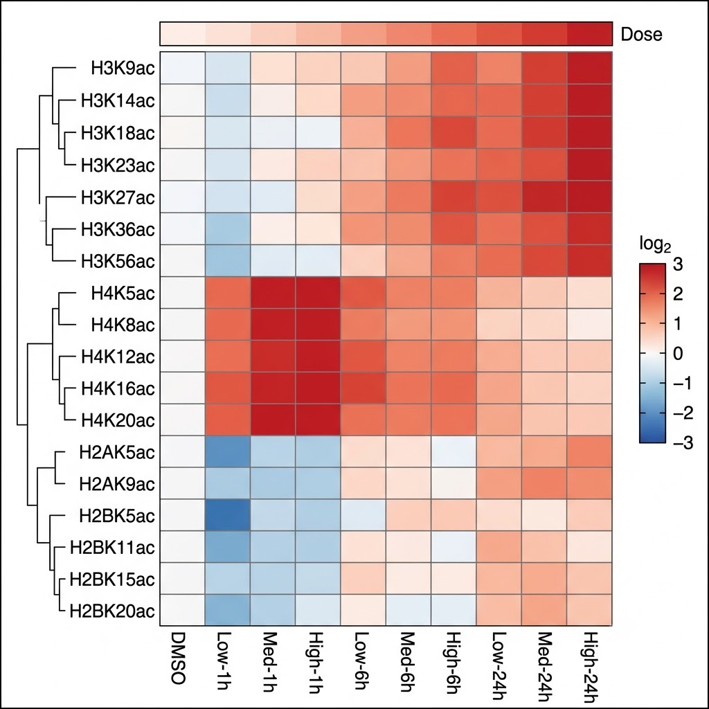 Histone acetylation mark heatmap — H3K9ac H3K14ac H3K27ac H4K5ac H4K8ac H4K12ac H4K16ac quantitative changes across HDAC inhibitor doses and time points