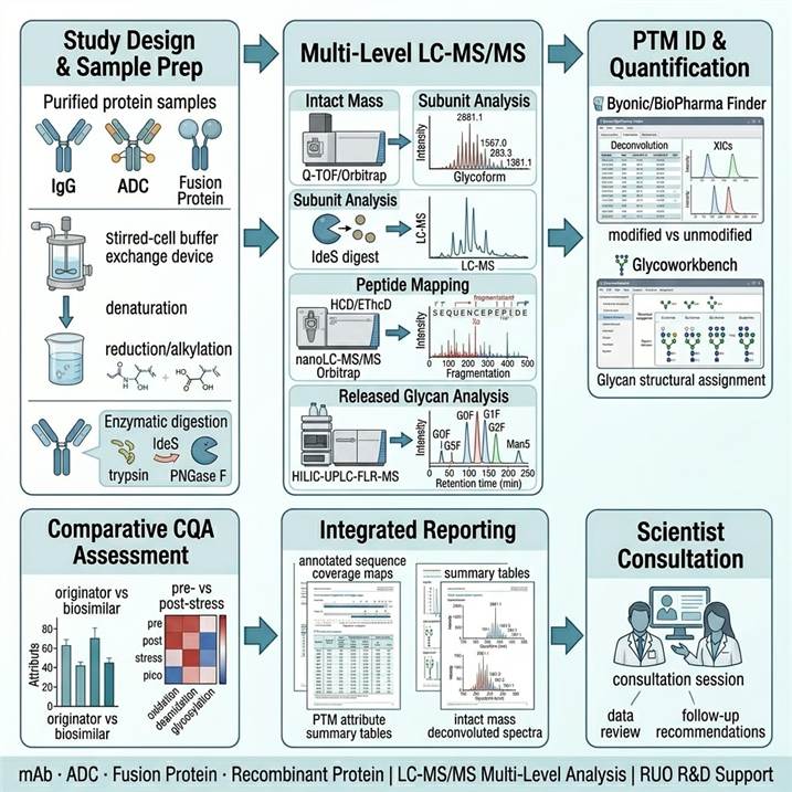 Six-step biopharma PTM characterization workflow diagram showing the complete pipeline from study design and sample preparation through multi-level LC-MS/MS acquisition, PTM identification and quantification, comparative CQA assessment, integrated reporting, and scientist consultation.