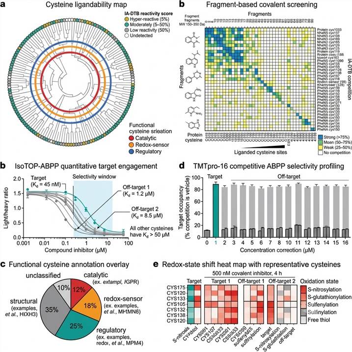 Reactive cysteine profiling chemoproteomics results panel