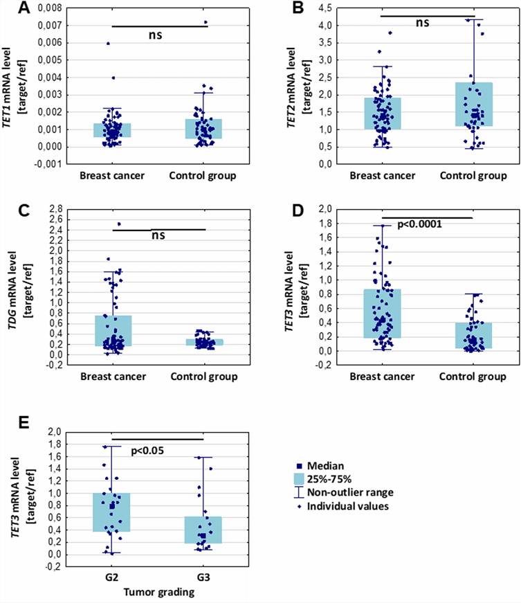 Key results from Linowiecka et al. 2024 (Scientific Reports): 2D-UPLC-MS/MS quantification of 5mdC and 5hmdC in leukocyte DNA from breast cancer patients vs healthy controls showing significantly reduced levels in patients, TET3 expression comparison, plasma ascorbate correlation with 5hmdC, ROC analysis for multi-marker breast cancer discrimination, and urinary 5mdC/5hmdC profiles.