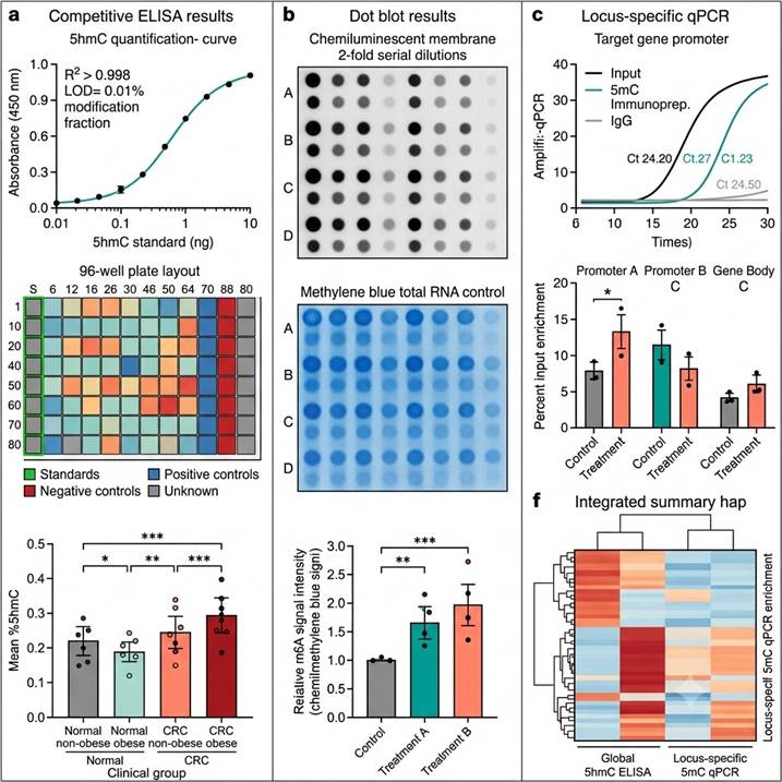 Representative DNA/RNA modification immunoassay results panel: (Left) Competitive ELISA standard curve (four-parameter logistic regression, R² > 0.995) and 96-well plate layout with color-coded absorbance values for 5hmC quantification across 80 clinical samples with standards and controls. (Center) Dot blot chemiluminescent membrane images showing m6A signal intensity across 24 RNA samples with methylene blue total RNA loading control image below, with densitometric quantification bar chart showing normalized m6A signal across control and treatment groups with statistical significance markers. (Right) qPCR amplification curves for MeDIP-qPCR showing 5mC enrichment at a specific gene promoter region across control and treatment samples, with percent input quantification bar chart demonstrating differential methylation at the target locus, and a summary table comparing global ELISA modification data with locus-specific qPCR enrichment data for integrated analysis.