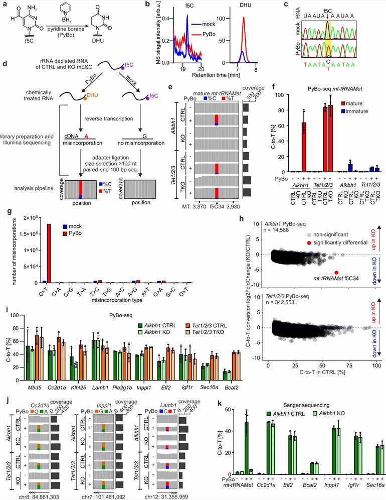 Key results from Dehnen et al. 2025 (Nature Communications): LC-MS/MS quantification of f5C in mESC total RNA and mRNA showing ppm-level abundance, Alkbh1 KO validation eliminating f5C signal, comparison with hm5C and m5C levels, FIBo-seq validation data, and demonstration that previous f5C-seq signals were from ac4C misidentification.