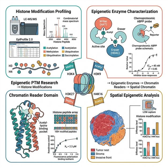 Epigenetic PTM research histone modification chromatin analysis platform